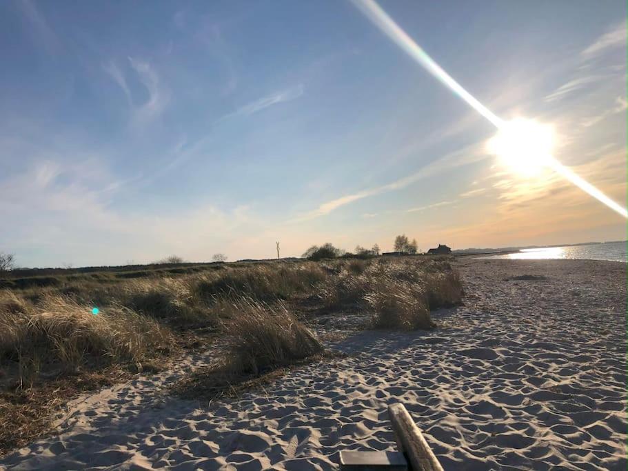 Neue Ferienwohnung Kuestennaehe Mit Terrasse 3Km Zum Strand Osdorf المظهر الخارجي الصورة