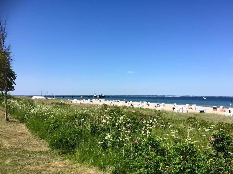 Neue Ferienwohnung Kuestennaehe Mit Terrasse 3Km Zum Strand Osdorf المظهر الخارجي الصورة